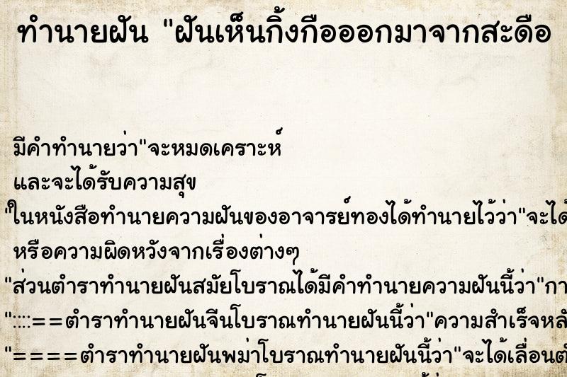 ทำนายฝัน ฝันเห็นกิ้งกือออกมาจากสะดือ 